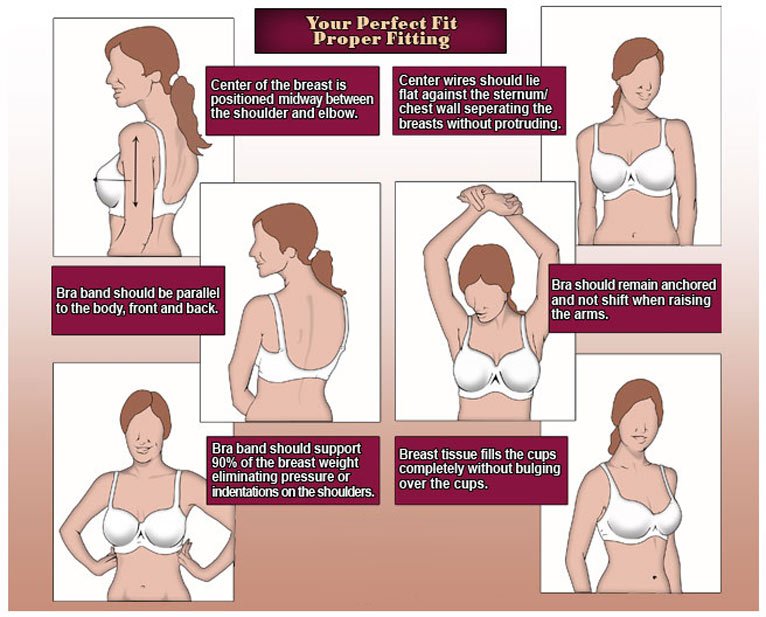 How to Measure Your Bra size: Cup & Band Fit Guide