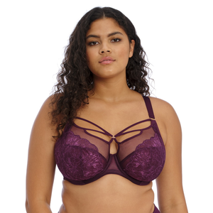 Elomi Brianna Plunge Bra 